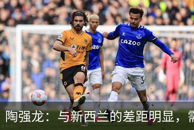 陶强龙：与新西兰的差距明显，需加强适应与调整